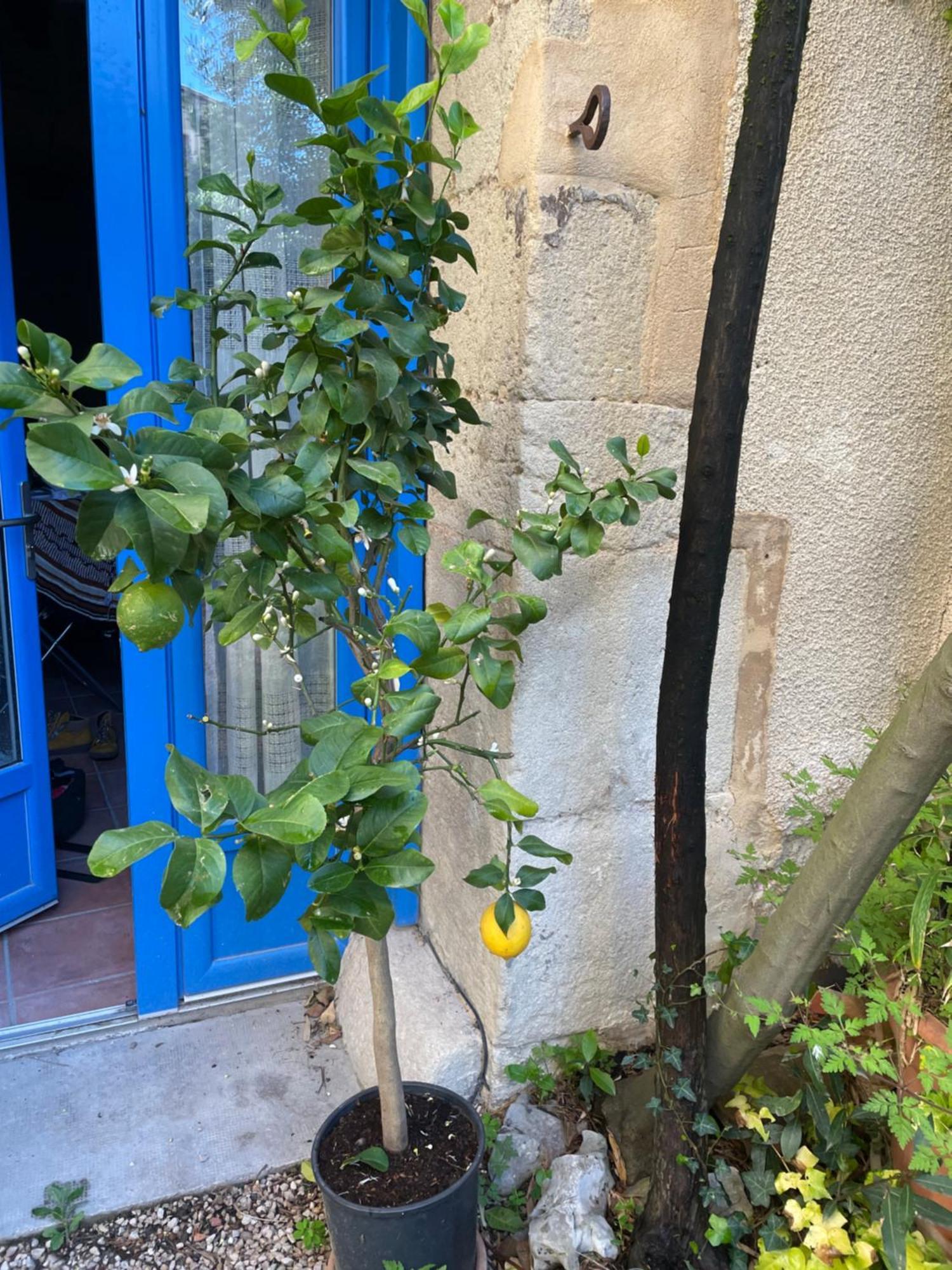 Appartement Cosy 马洛塞讷 外观 照片